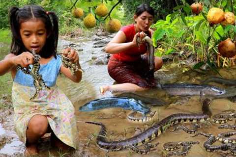 Big snake and fish catch for food +3cooking in forest- Top survival cooking