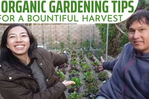 10 Organic Gardening Tips for a Bountiful Harvest