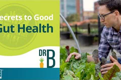 Raw Food vs. Cooked Food | Gut Health Q&amp;A with Dr. Will Bulsiewicz
