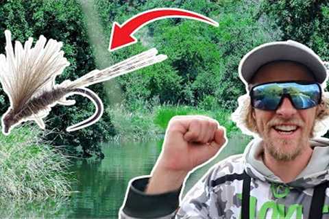 Fly Fishing For Trout. I Caught My First Fish On A Dry Fly!!! (Day 2)