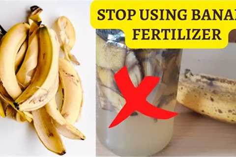 BANANA PEEL FERTILIZER - HARMFUL EFFECTS ON PLANTS