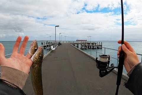Beginners Guide To Jetty Fishing!