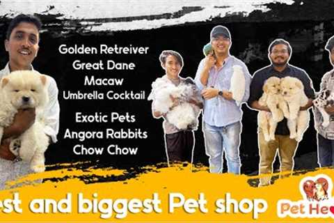 Exotic pets || dogs || persian cats|| telugu vlogs || Hyderabad best and biggest exotic pet showroom