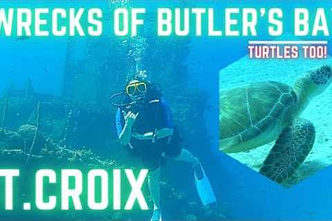 2023 TRAVEL / Diving St. Croix WRECKS with TURTLES &amp; MORE! #scubadiving #scuba