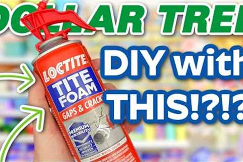 SHOCKING Dollar Tree DIYS (Mystery Box Challenge!)