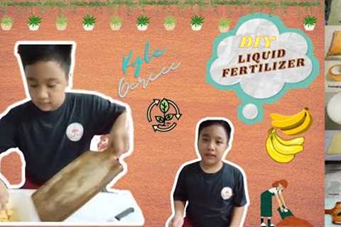 How to make Liquid Fertilizer or Fermented Fruit Juice from Banana