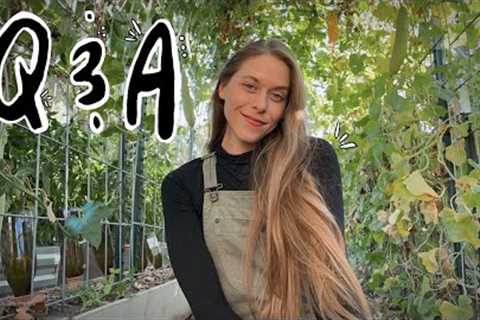 Answering Your Questions While Going About My Day! - Backyard Homesteading, Hobbies, &amp; Life!