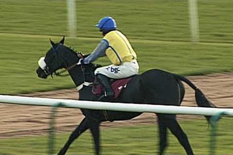 ASTONISHING! Horse stops to a walk mid-race but somehow still wins at Haydock! 🤯