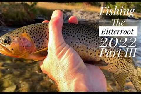 Fly Fishing the Bitterroot: 2022, Part III