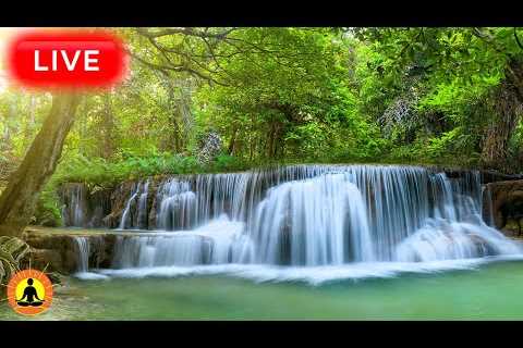 🔴 Relaxing Zen Music 24/7, Stress Relief Music, Sleep Music, Meditation Music, Study, Waterfall