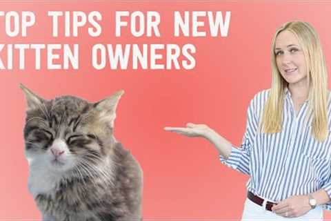 New Kitten? 10 things you NEED to know!