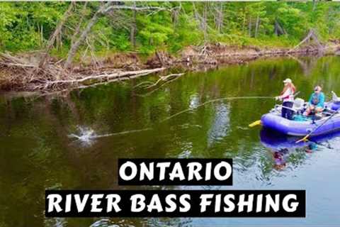 Outstanding River Bass Fishing | Algonquin Fly Fishing