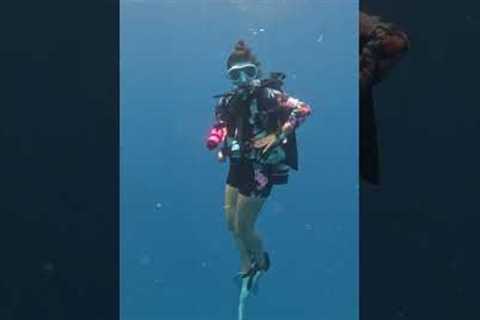 S2:E18 | Relevance of the Scuba Diver swim test, or teaching scuba skills in a classroom is debated
