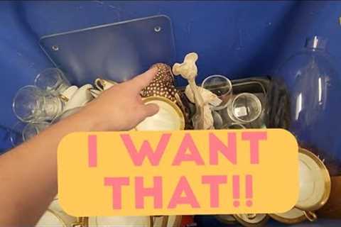 I Want That! - Shop Along With Me - Goodwill Thrift Stores