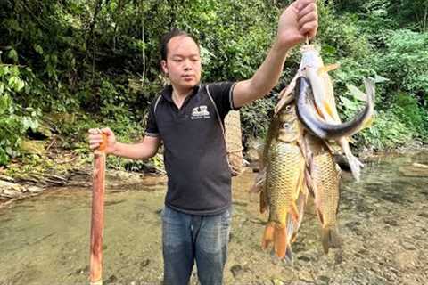 Duong caught a lot of fish in the stream, Results after 1 day. Primitive Skills