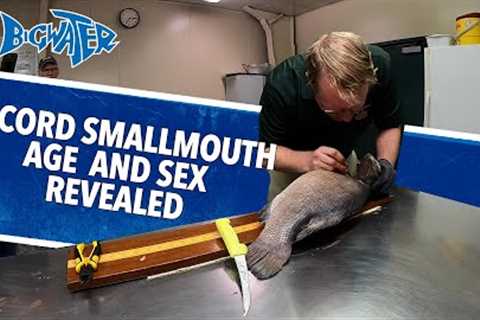 Record Smallmouth Sex and Age Revealed