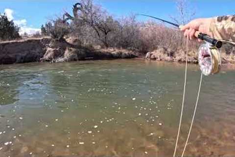 HOW TO READ WATER &amp; APPROACH PT 2 | NMAKTIMA FLY FISHING