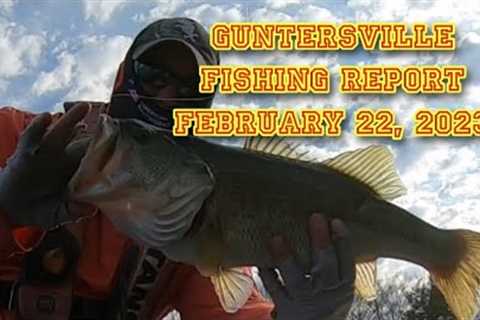 Lake Guntersville Fishing Report &amp; Tips