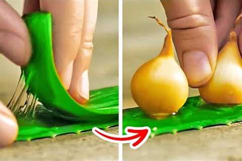 Useful Gardening Tips For Outdoor And Indoor Plants