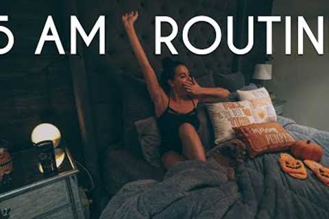 5 AM Morning Routine | Early Morning Hacks for a Health &amp; Productive Day