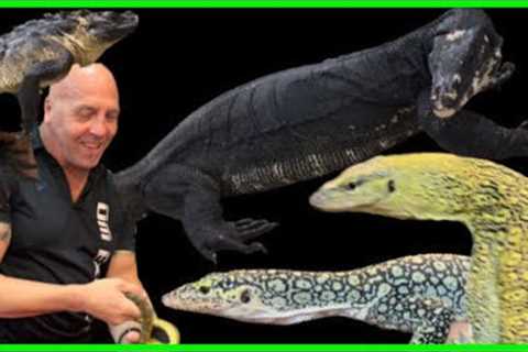 WOW!!! YOU CAN'T OUTDO THIS INDONESIA REPTILE EXPO (PART 1)