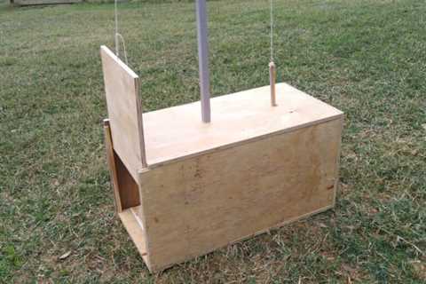 The 8 Best Raccoon Traps You Can Buy or Make