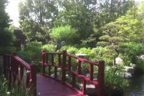 5 Minute Deep Breathing Exercise | City of Hope