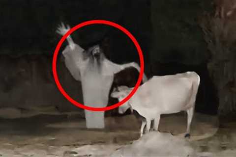 30 Scary Videos Proving Skeptics Wrong