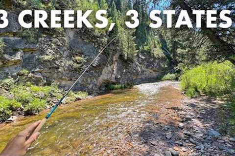 Fishing 3 New Creeks in 3 States for 3 Species! (Tenkara Fly Fishing)
