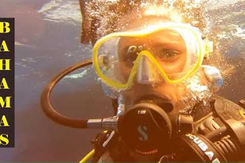 Black Beard Live Aboard Scuba Dive Trip Part One