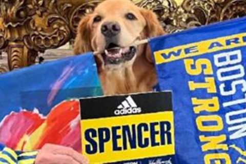 Beloved Boston Marathon Dog Spencer Has Died At Age 13