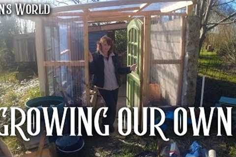 This Year's Plan For The Greenhouse!