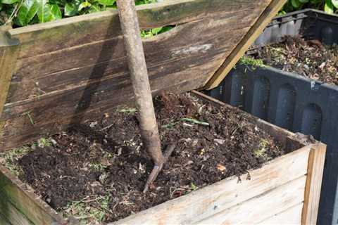 How to Convert Your Lawn And Garden To Organic