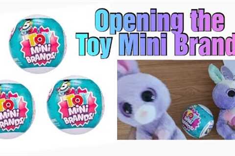 Opening the Toy Mini Brands #unboxing #toyminibrands