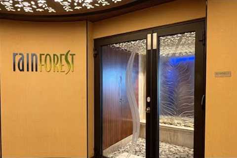 Disney Dream Rainforest Room Experience
