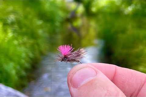 Small Stream Big Dry Fly!