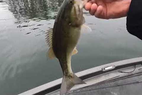 Epic day on Lake James, First Place and big fish in tournament!!