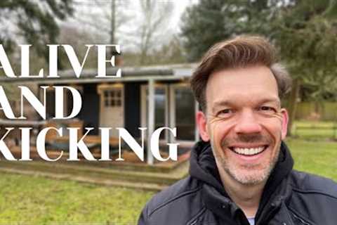 Renovating an abandoned Tiny House #81: Alive and kicking!