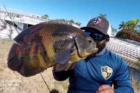 CATCH and COOK Tiger Oscar Pet Fish | Monster Mike Fishing