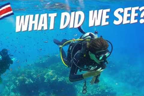 See the Wonders Underwater: Scuba Diving at Cano Island, Costa Rica!