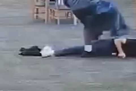 Student Who Allegedly Attacked School Employee Over Nintendo Switch to Be Charged as Adult