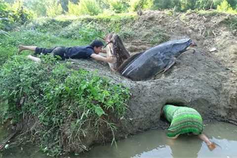 Build Hole Fish Tap Catch Big Fish - Survival Skills In The Forest - Primitive Cooking