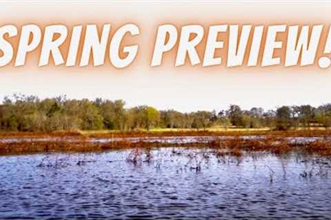 Lake Fork Spring Bass Fishing Preview 2023: Full Report, What To Expect On Your Trip!!!