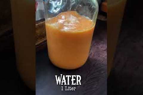 Natural Fermented Fruit Soda | #shorts