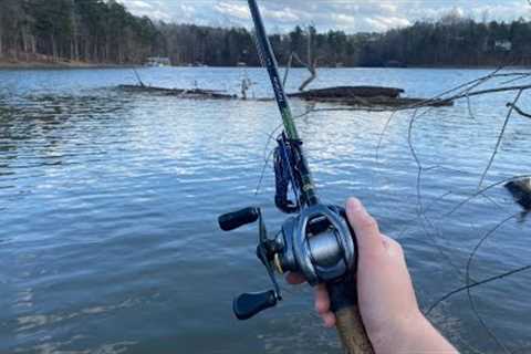 Another GREAT Day of Bass Fishing on Lake Lanier! (Surprise GIANT!!)