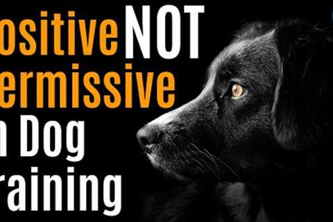 What Does Positive Is Not Permissive Really Mean In Dog Training? #198 #podcast
