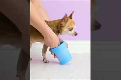 DIY Gadgets that will easy your life #shorts