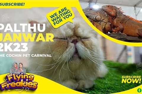 Palthu Janwar dog show | Persian Cats, Puppies, and Exotic Pets