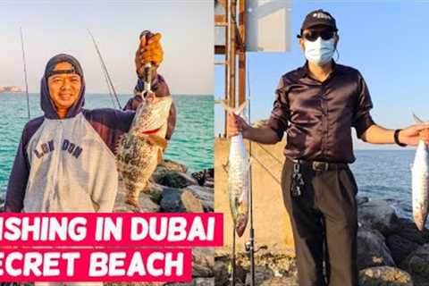 How To Do Fishing Legally in Dubai II Fishing Tips For Beginners