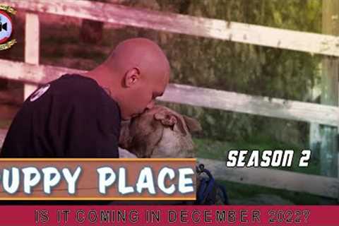 Puppy Place Season 2: Is It coming In December 2022? - Premiere Next